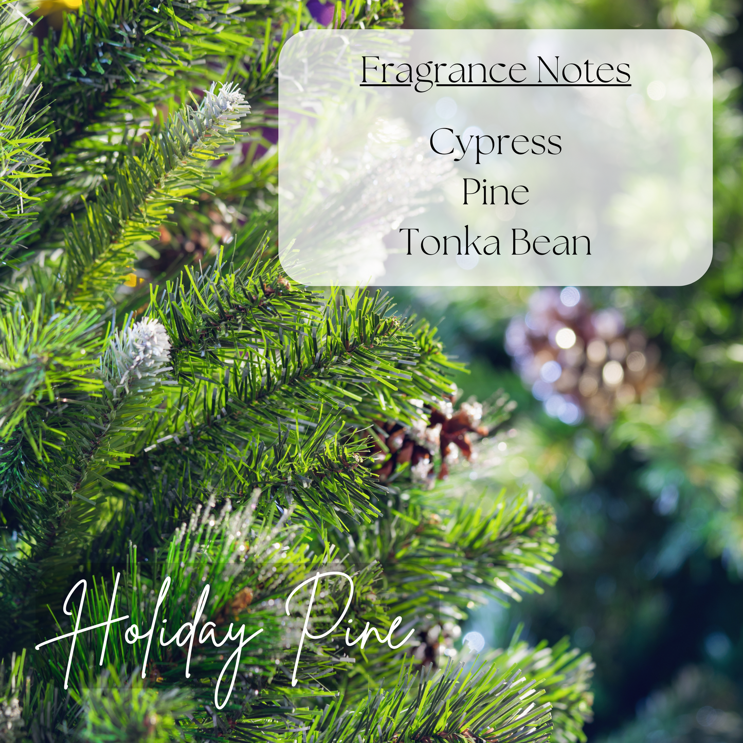 Holiday Pine - 11.5oz Scented Candle