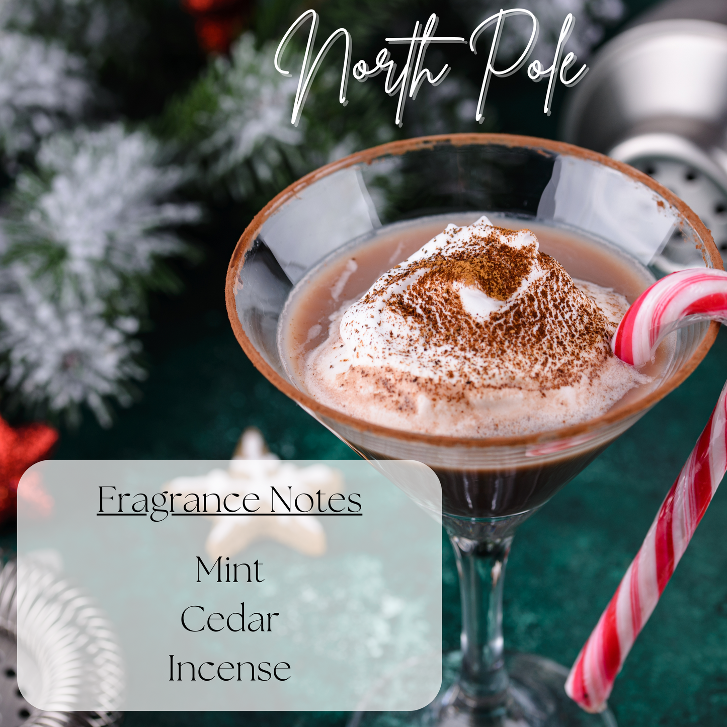 Holiday/Winter Collection - 5.0oz Scented Candles