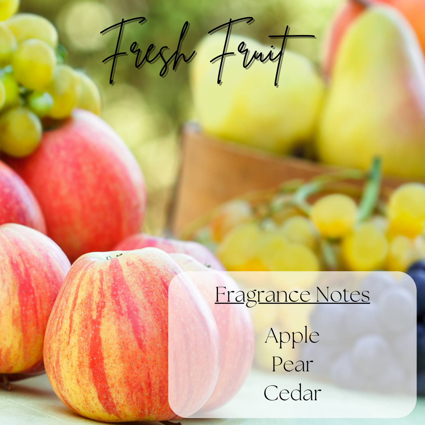 Fruit Scented Wax Melts - Bundle & Save (Get all 5!)