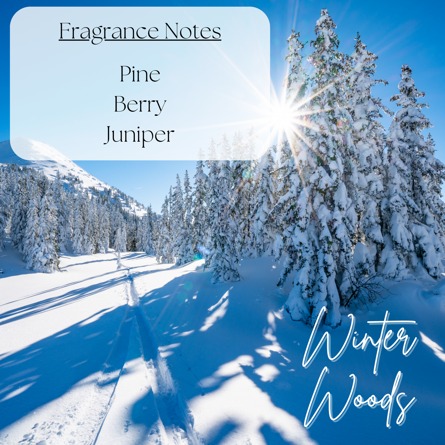 Holiday/Winter Collection - 5.0oz Scented Candles