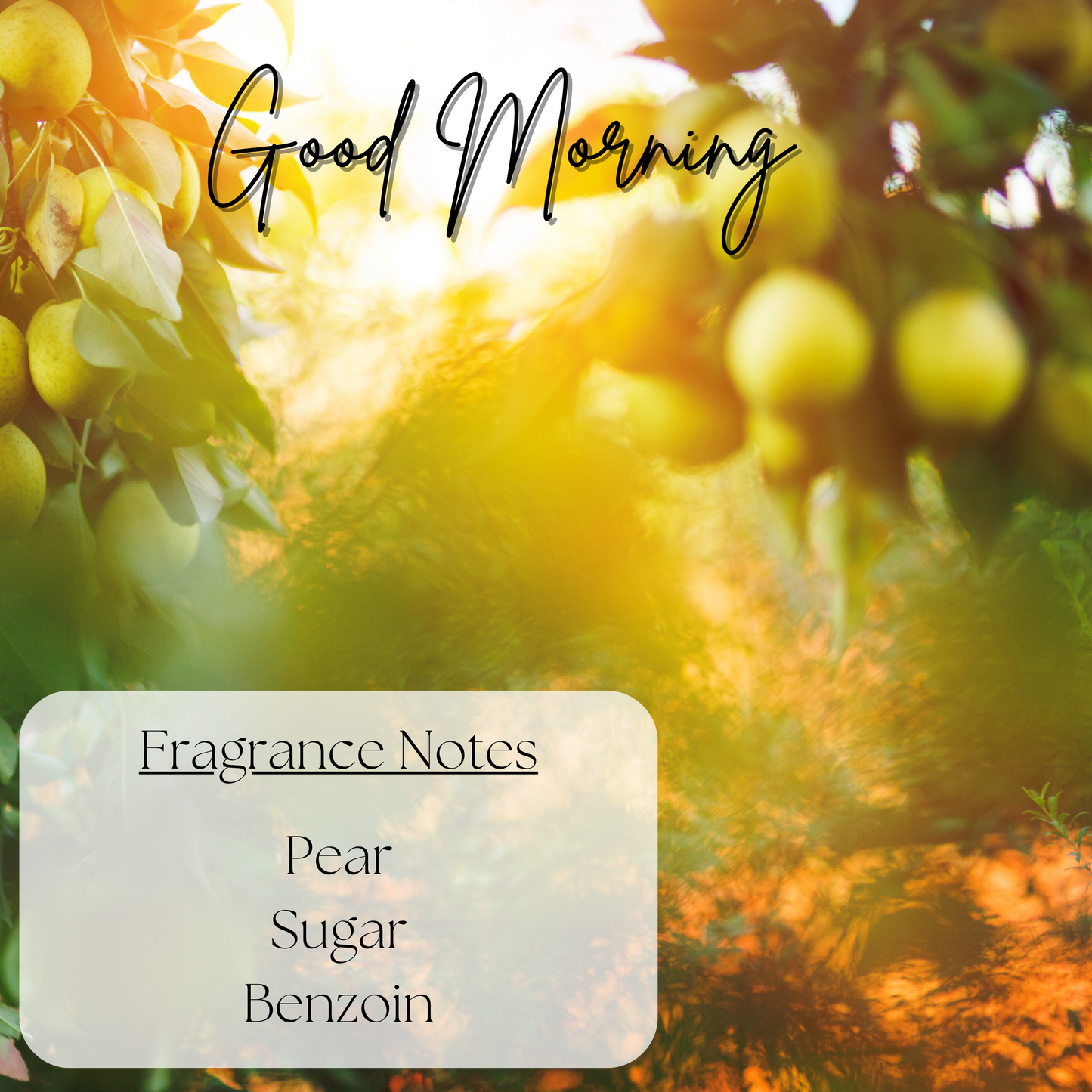 Fresh Scented Wax Melts - Bundle & Save (Get all 5!)
