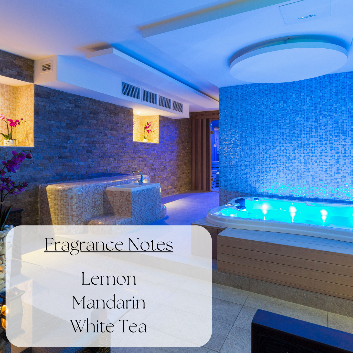 Resort Spa - Wax Melts